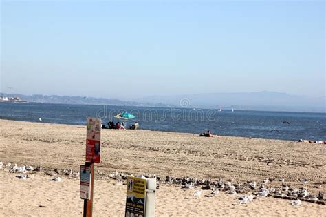 Santa Cruz Harbor Beach Kalifornien Usa Redaktionelles Stockfoto