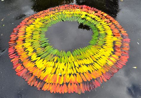 Andy Goldsworthy