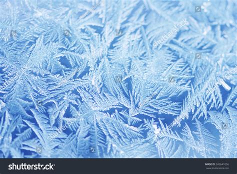 Blue Frost Stock Photo 343641056 Shutterstock