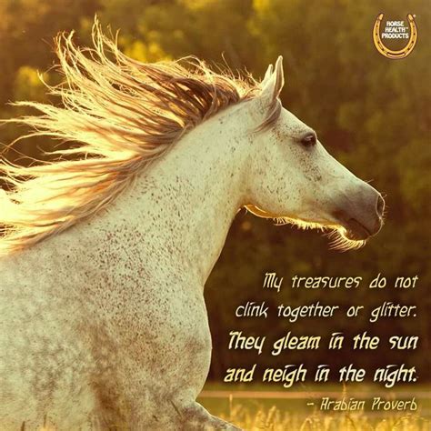 arabian proverb horse quotes horses horse health