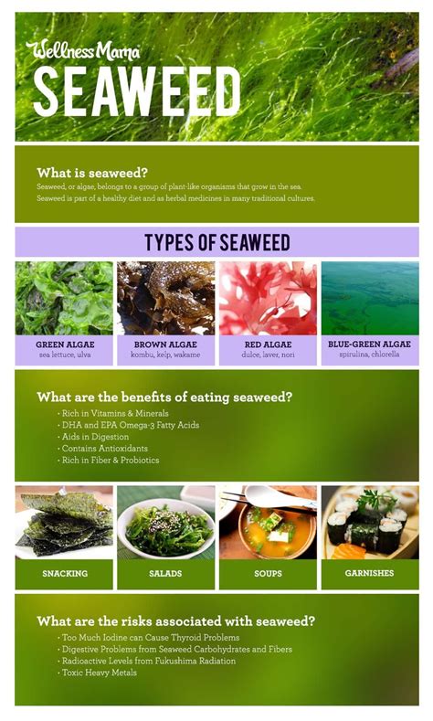 The Benefits Of Seaweed And When To Avoid It Coconut Health