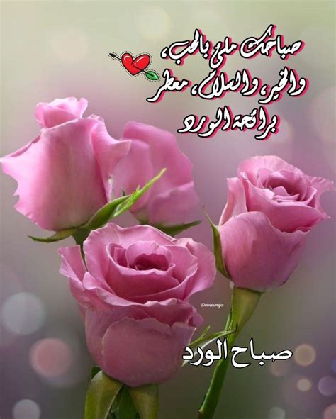 Pin By Hanan Allam On Hanan Good Morning Flowers Rose Beautiful