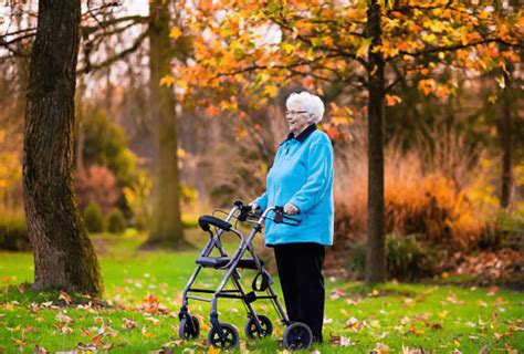 Ranking De Las 10 Por Que Dejan De Caminar Los Ancianos Abeamer