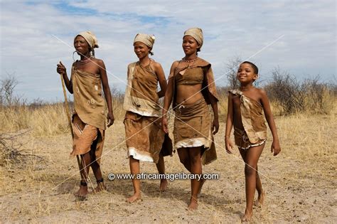 photos and pictures of naro bushman san women walking central kalahari botswana the