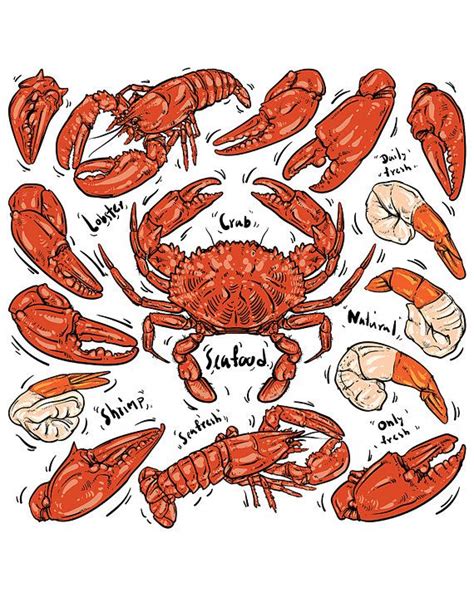Seafood Hand Draw Crab And Lobster Hand Drawn Doodle Vector