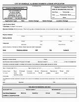 Georgia Business License Application Form Photos