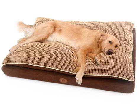 Raised Dog Beds For Giant Breeds Dog Bread
