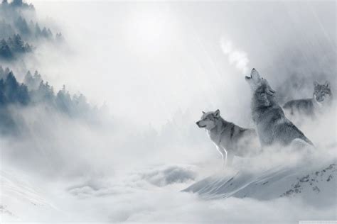 Wolves Desktop Wallpaper ·① Wallpapertag