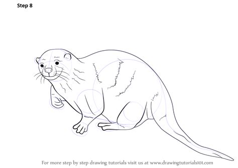 Learn How To Draw An Otter Sea Water Animals Step By Step Drawing