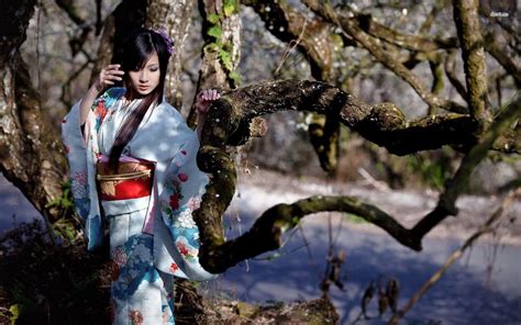 tree wallpaper high quality wallpapers wallpaper downloads free beautiful kimono kimonos