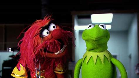 Kermit The Frog Celebra El Debut Del Tráiler Muppets Most Wanted