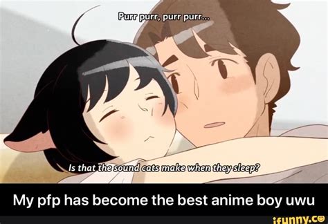 My Pfp Has Become The Best Anime Boy Uwu Ifunny