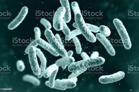 Microbio Microorganismo Bacteria En Forma De Varilla Foto De Stock Y