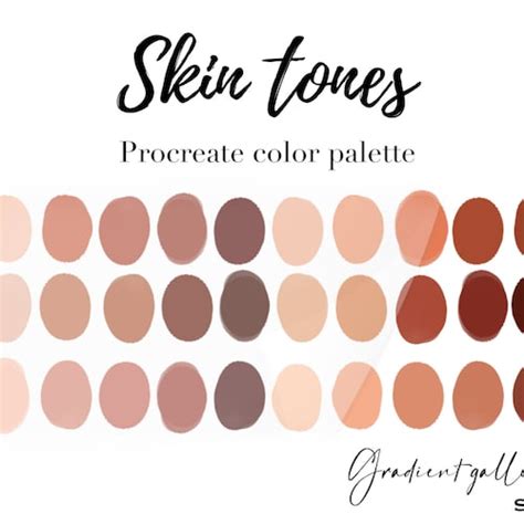 Basic Skin Tones Procreate Color Palette Bundle Ipad Etsy
