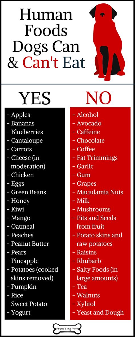 Do you know what foods are bad for dogs? The Human Foods Dogs Can Eat (Plus, The Ones They Can't ...