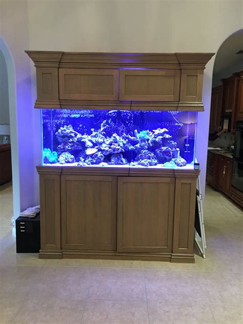 Florida 180 Gallon Custom Reef For Sale Reef2reef Saltwater And