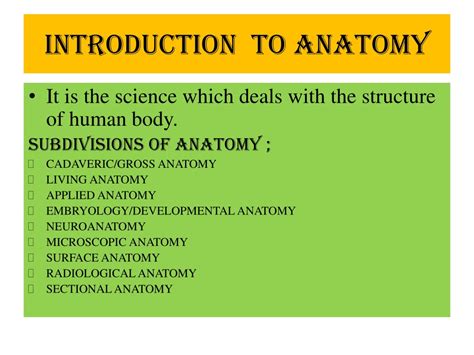 Ppt Introduction To Anatomy Powerpoint Presentation Free Download