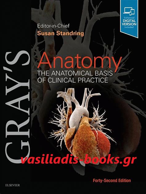 Grays Anatomy The Anatomical Basis Of Clinical Practice 42nd Edition