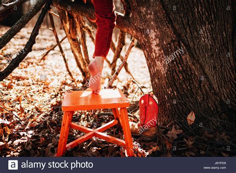 Boy Climbing A Tree Barefoot Stock Photo 141981205 Alamy