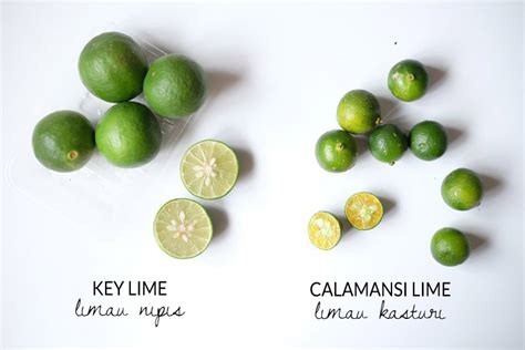 'limau kasturi' is a small perennial shrubs growing up to about 4 m in height. Key Lime (Limau Nipis) & Calamansi lime (Limau Kasturi ...