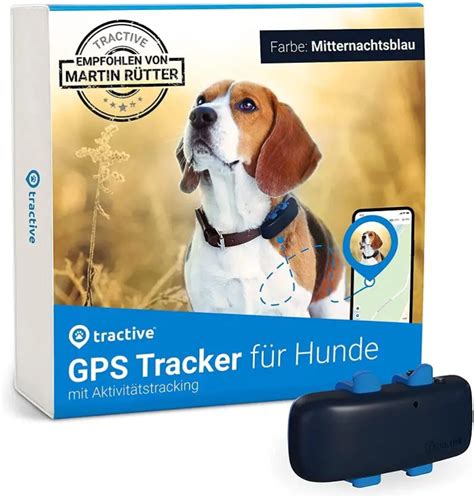 7 Best Gps Dog Fences 2023 Reviews And Top Picks