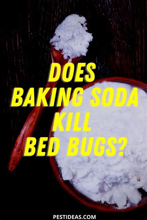 Using Baking Soda To Kill Bed Bugs Pest Ideas