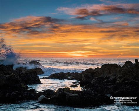 Sunset Over The Pacific Ocean Monterey Bay Aquarium Hd Wallpaper