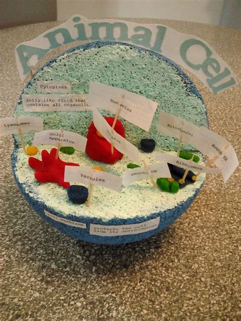 Animal Cell Model Created With A Styrofoam Ball And Clay Cell Model