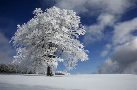 Winter Wonderland Fantastic Winter Photography Gallery