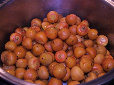 A recipe for quince jelly that has a delicate flavor and exquisite color. Canning Granny: I Made the Front Page! (with my Palm Fruit ...