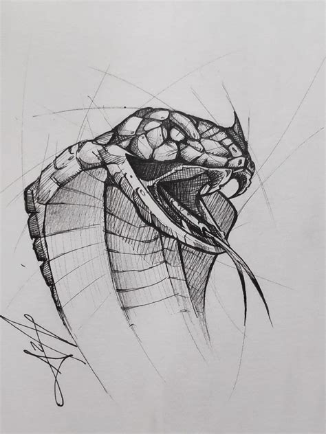 10 Cobra Dibujo