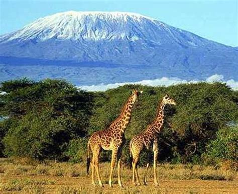 Book a hotel in tanzania online. Tanzania's Tourism Revenue could hit $16 billion by 2025 ...