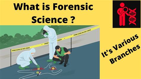 What Is Forensic Science Types Of Forensics Forensic Guide Youtube