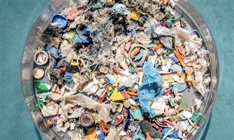 Aquatic Life Dead Zones And The Plastic Pollution Upsurge