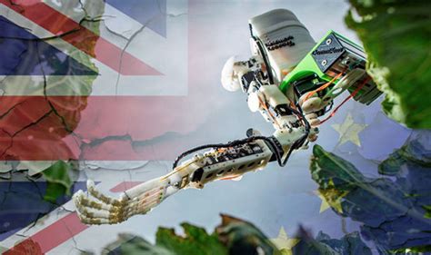 Brexit News Farm Robots Could Replace Migrant Workers Leaving Uk And