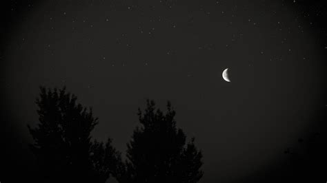 Download Wallpaper 3840x2160 Moon Night Sky Tree Stars