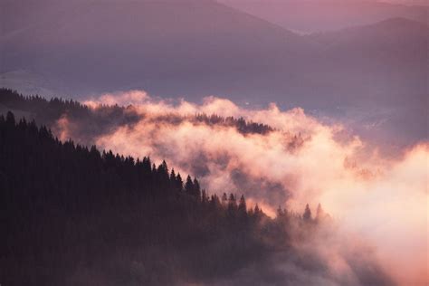 22 Shocking Facts About Fall In The Smoky Mountains Artofit