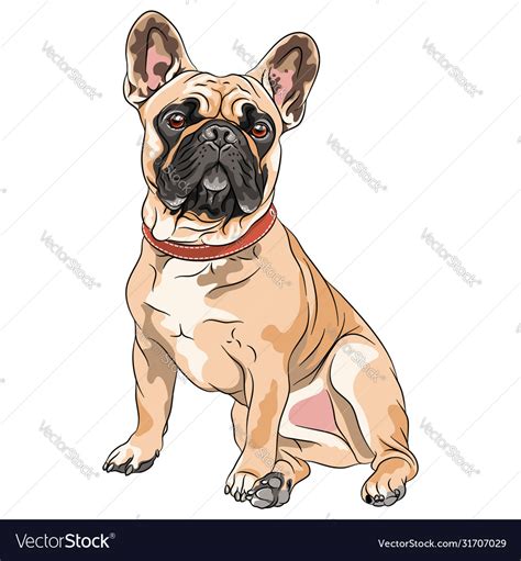 French Bulldog Cartoon