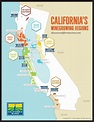 California Wine Map – Wine Bottle