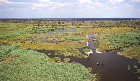 Chobe Enclave Safaris With Africa Travel Resource