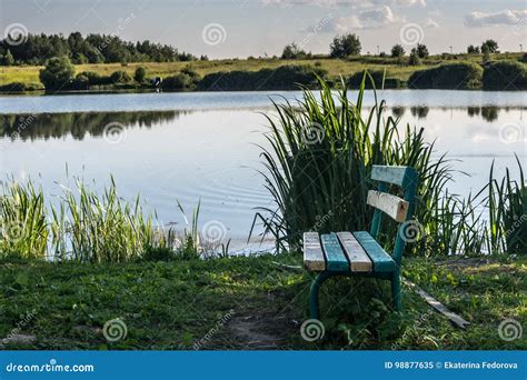 A Lonely Bench By The Lake The Shore Of The Lake With Grass And A
