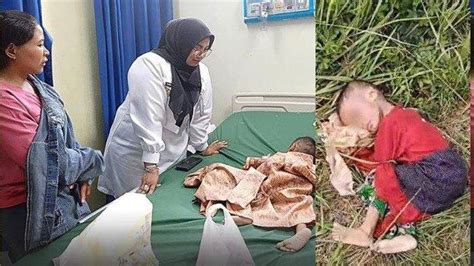 Kisah Pilu Ibu Temukan Bocah Diduga Dibuang Di Semak Yakin Itu Anaknya