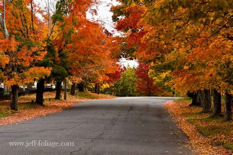 Fall Foliage In New Salem New England Fall Foliage