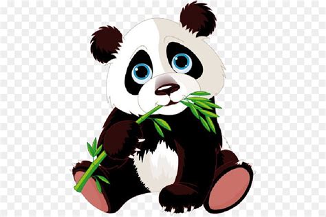 Panda Gigante Urso Bebê Pandas Png Transparente Grátis