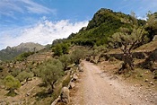 Diez rutas guiadas por la Serra de Tramuntana en clave literaria