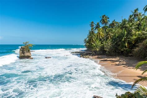 Wild Caribbean Beach Of Manzanillo At Puerto Viejo Costa Rica Stock