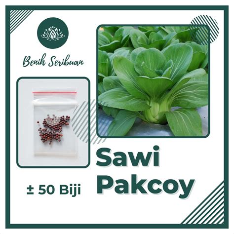 Jual 50 Benih Sawi Pakcoy Nauli Cap Panah Merah Pakchoy Hidroponik