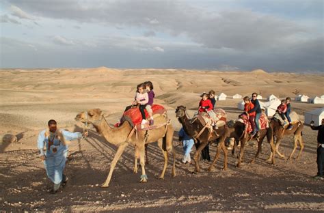 Agafay Desert Sunset Camel Ride Viavii