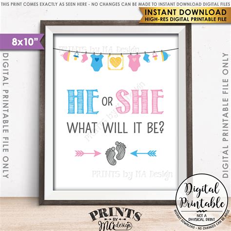Gender Reveal Sign He Or She What Will It Be Gender Reveal Party Pink