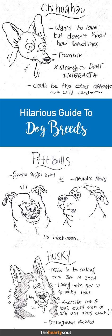 Hilarious Guide To Dog Breeds That Will Help You Choose Your Next Dog